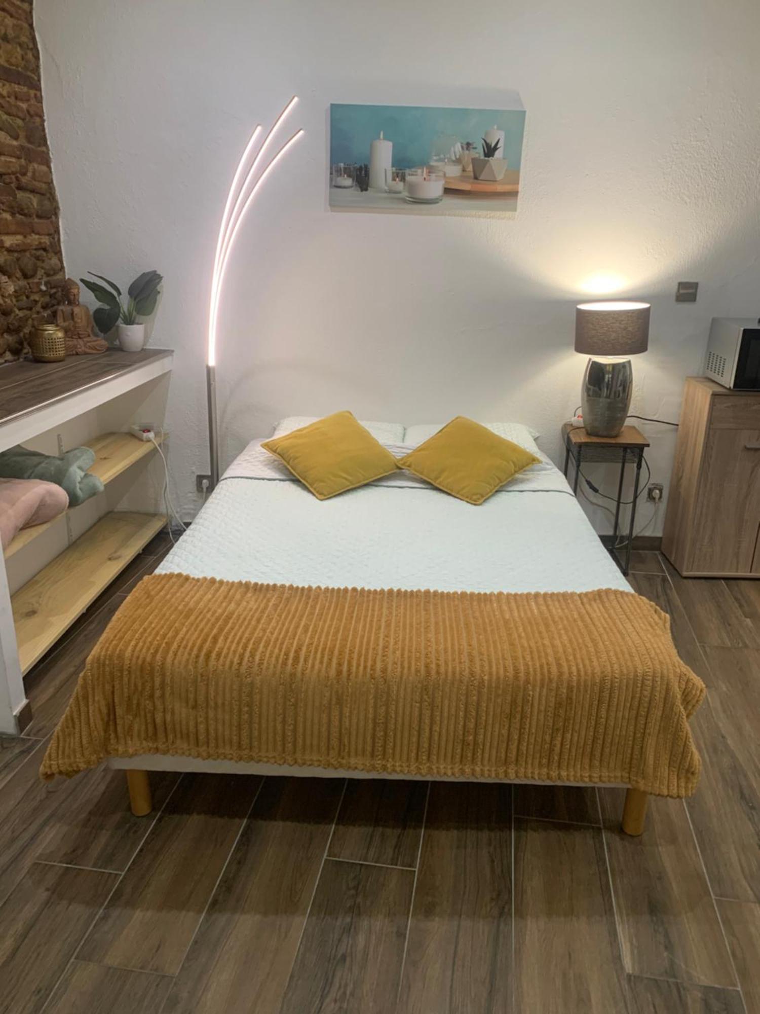 Studio 25M2 En Plein Coeur De Perpignan Exterior photo